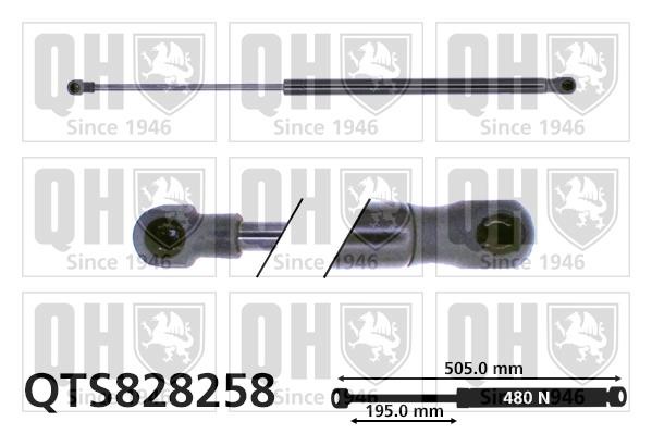 Quinton Hazell QTS828258 Gas Spring, boot-/cargo area QTS828258