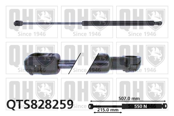 Quinton Hazell QTS828259 Gas Spring, boot-/cargo area QTS828259