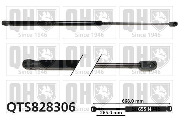 Quinton Hazell QTS828306 Gas Spring, boot-/cargo area QTS828306