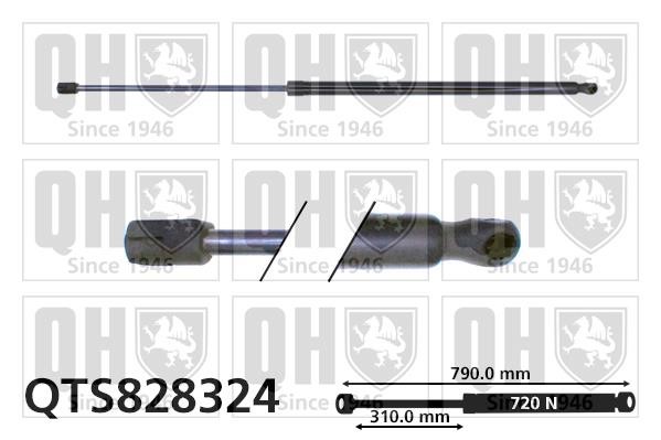 Quinton Hazell QTS828324 Gas Spring, boot-/cargo area QTS828324