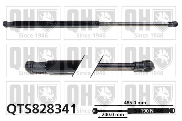 Quinton Hazell QTS828341 Gas Spring, boot-/cargo area QTS828341