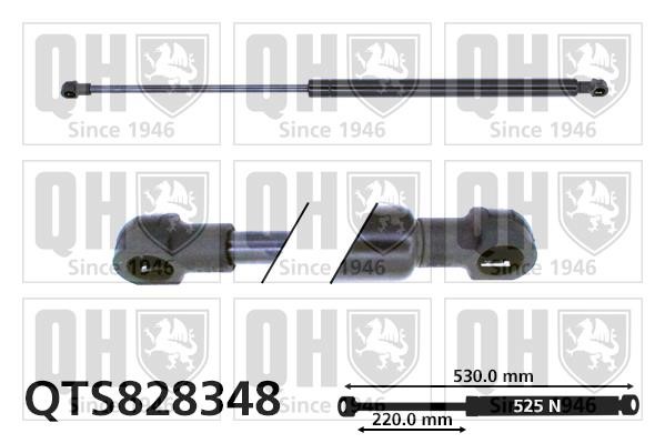 Quinton Hazell QTS828348 Gas Spring, boot-/cargo area QTS828348