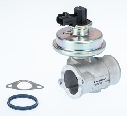 egr-valve-710923d-1-49882459