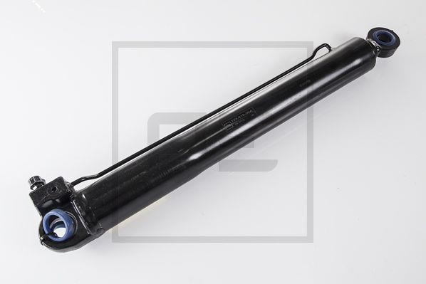 12361500A PE Automotive Hydraulic cylinder