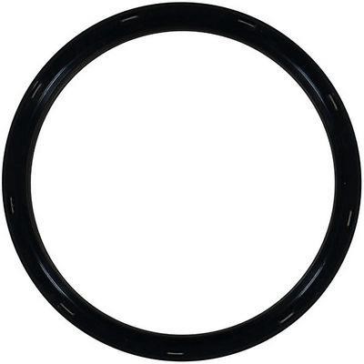 Glaser P93293-01 Seal-oil,crankshaft rear P9329301