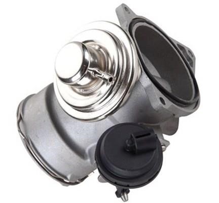 EGR valve Volkswagen Multivan: 571822112149 Magneti marelli Exhaust gas recirculation valve