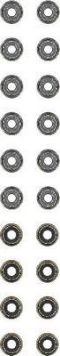 N9303101 Glaser Valve oil seals, kit