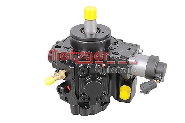 Metzger 0830100 Injection Pump 0830100