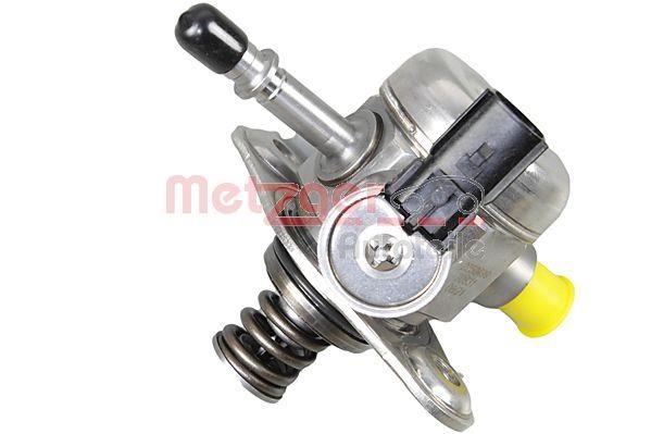 Injection Pump Metzger 2250499