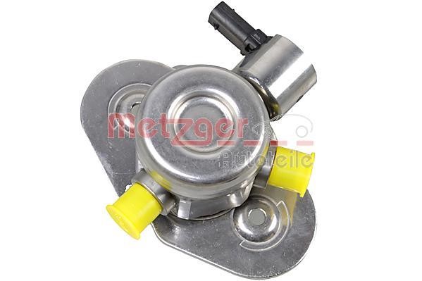 Metzger 2250437 Injection Pump 2250437