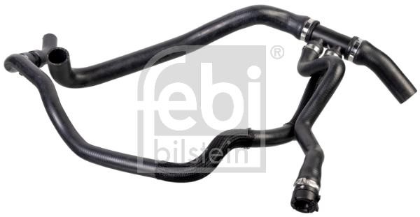 Car coolant pipe Renault Master: 175806 febi Radiator hose
