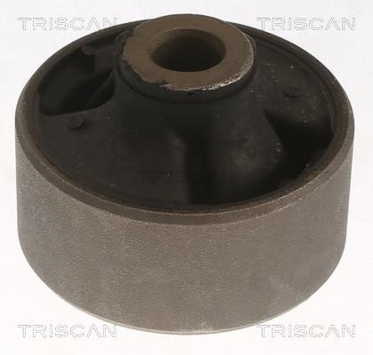 Triscan 8500 13876 Control Arm-/Trailing Arm Bush 850013876