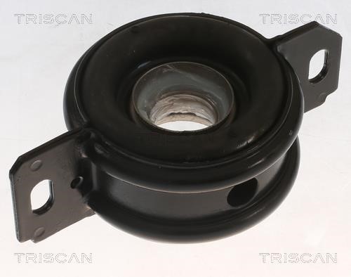 Triscan 8540 13301 Driveshaft outboard bearing 854013301