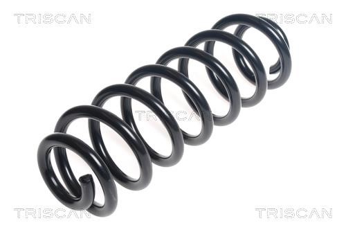 875029391 Triscan Rear coil spring