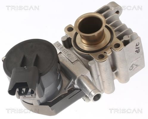 Triscan 8813 11011 EGR Valve 881311011