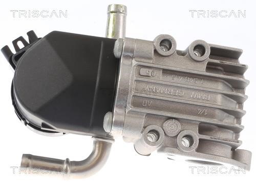 EGR Valve Triscan 8813 11011