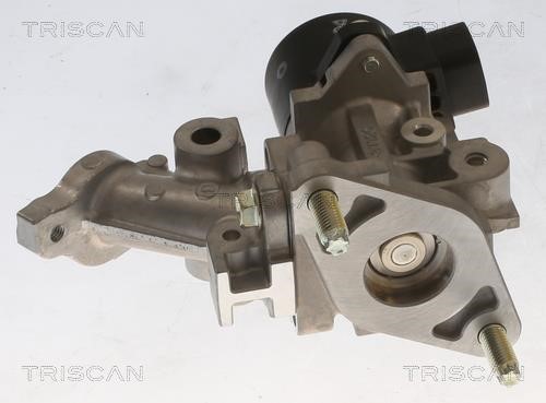 Buy Triscan 8813 13067 at a low price in United Arab Emirates!