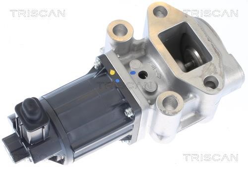 Triscan 8813 42001 EGR Valve 881342001