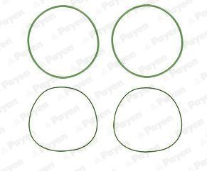 Payen HL5190 O-rings for cylinder liners, kit HL5190