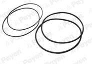 Payen HL5378 O-rings for cylinder liners, kit HL5378