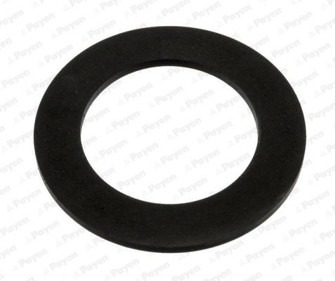 Payen KK5729 Seal, oil filler cap KK5729