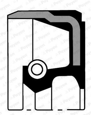 Payen NA5181 Crankshaft oil seal NA5181