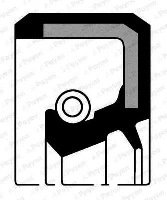 Payen NA5243 Oil seal crankshaft front NA5243