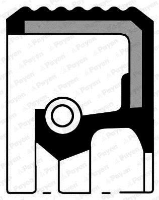 Payen NA5477 Shaft Seal, differential NA5477