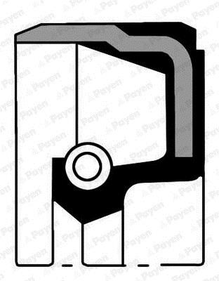 Payen NB978 Oil seal crankshaft front NB978