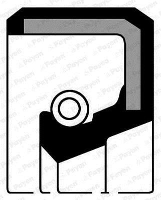 Payen NF387 Oil seal crankshaft front NF387