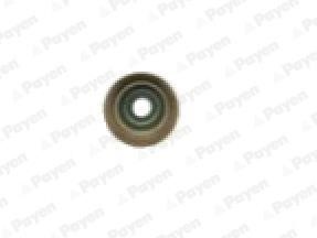 Payen PA6095 Seal, valve stem PA6095