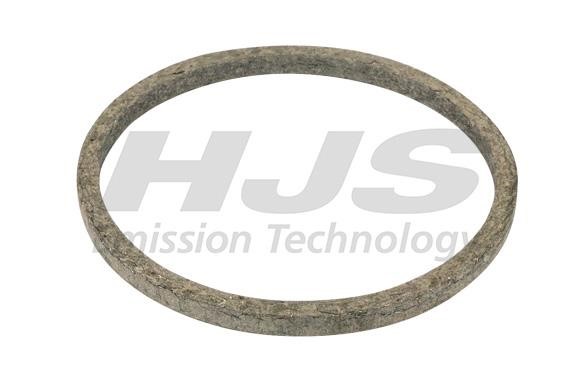 HJS Leistritz 83 12 2061 O-ring exhaust system 83122061