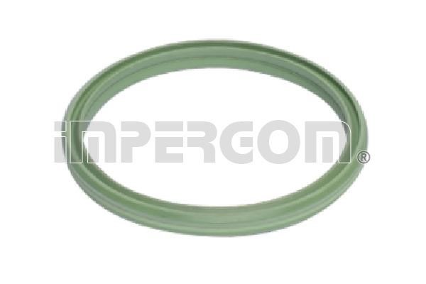 Impergom 20283 Seal Ring, turbo air hose 20283