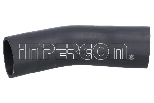 Intercooler hose DS: 17746 Impergom Intercooler pipe