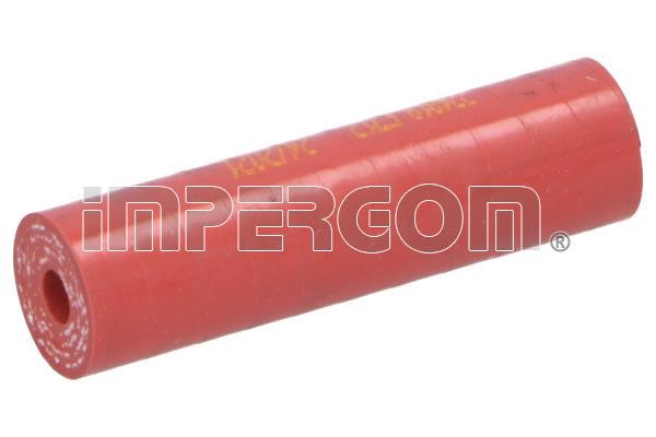 Impergom 224819 EGR pipe 224819