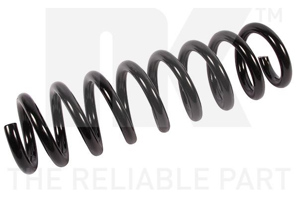 541567 NK Coil spring