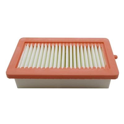 Hoffer 18667 Air filter 18667