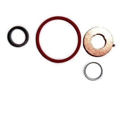 Hoffer 8029569 Fuel injector repair kit 8029569