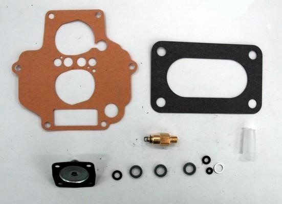 Hoffer W516 Carburetor repair kit W516