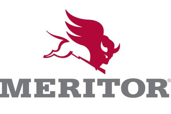 MLF5100 Meritor Boot, air suspension