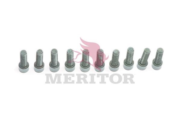 Meritor 68130023PK10 Repair Kit, brake caliper 68130023PK10
