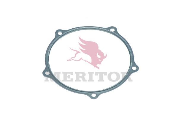 21224759 Meritor SHAFT SEALS SINGLE