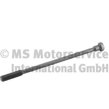 20080590001 BF Cylinder head bolt (cylinder head)