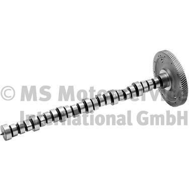 20100390600 BF Camshaft
