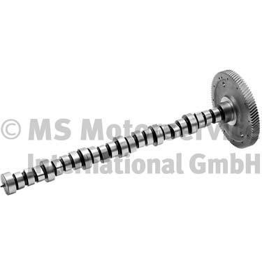 20100390601 BF Camshaft