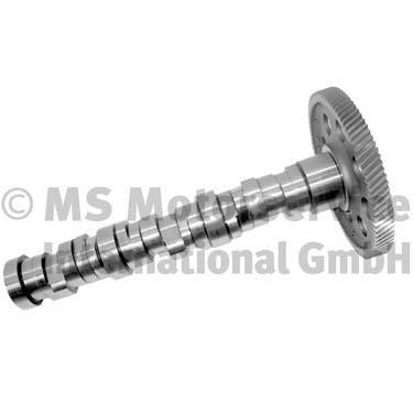 20100350101 BF Camshaft