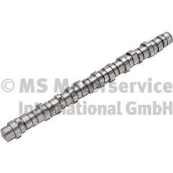 20100413004 BF Camshaft
