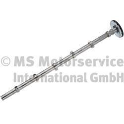 20100347100 BF Camshaft