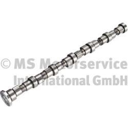 20101406000 BF Camshaft