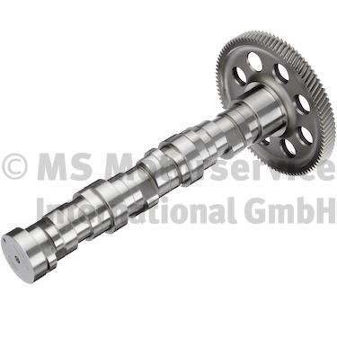 20100354100 BF Camshaft
